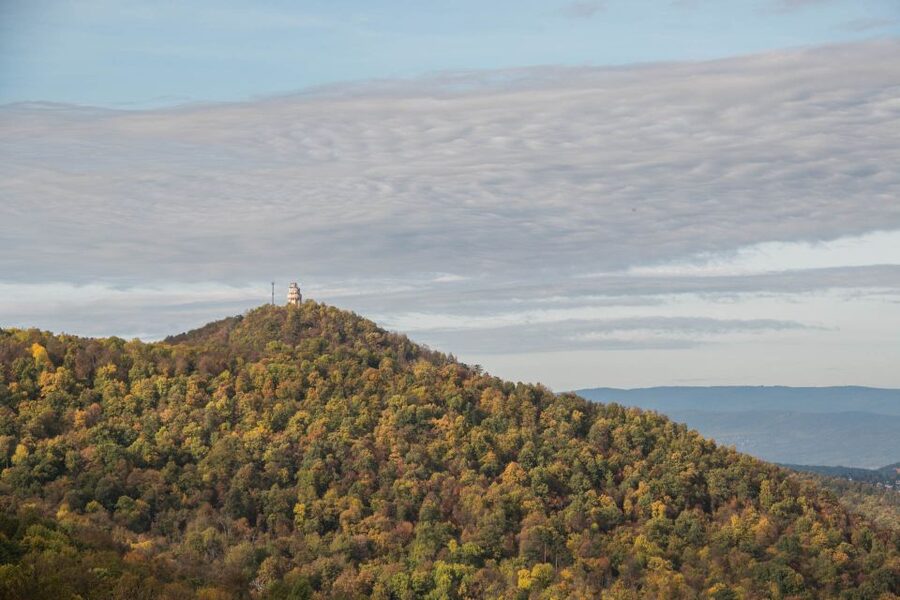 3Hour Outdoor Budapest Normafa Hike&History With a Historian - Why Normafa makes a good city break