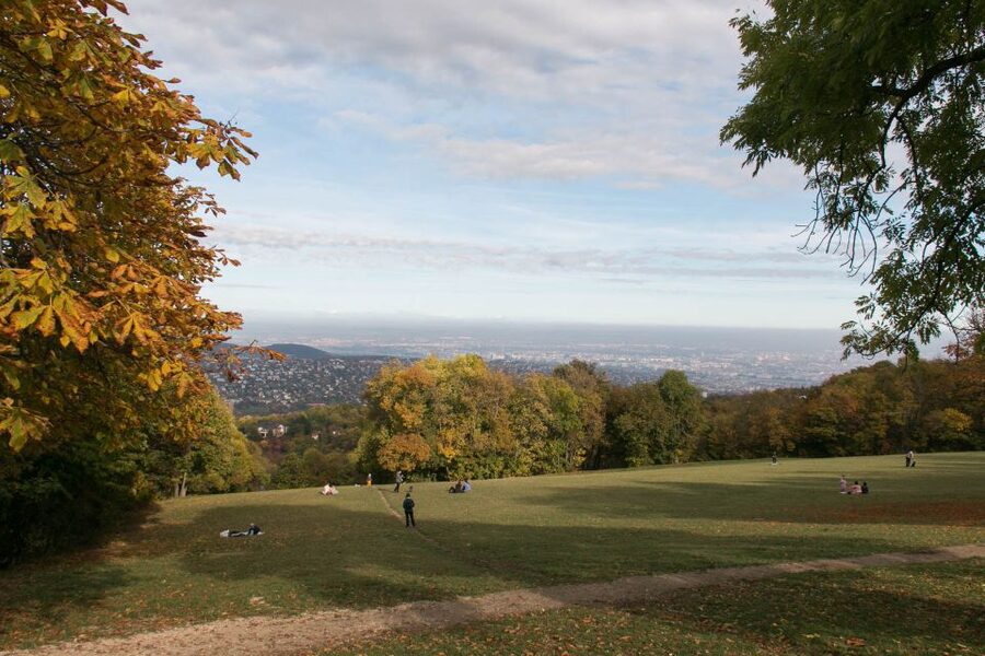 3Hour Outdoor Budapest Normafa Hike&History With a Historian - Walking from Normafa into the Buda Hills