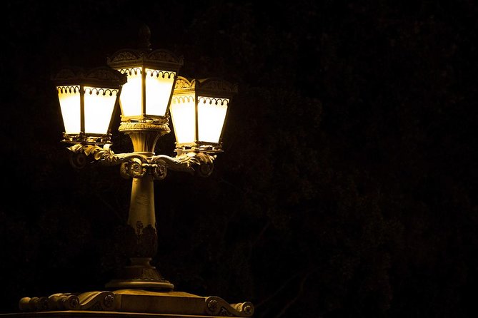 Bright Lights of Budapest Night Tour with Boat Cruise and Wine - What the guide adds to a short route