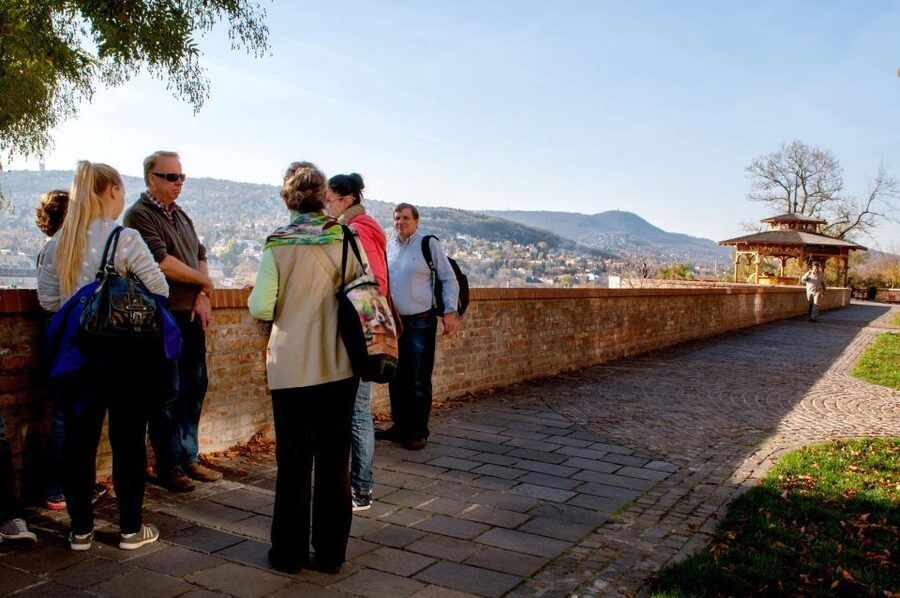 Budapest: All in One Walking Tour with Strudel House Stop - Key points before you book