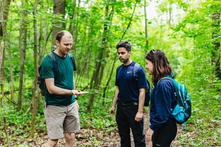 Budapest: Buda Hills Guided Hiking Tour with Optional Lunch - Why the Buda Hills make a smart city break