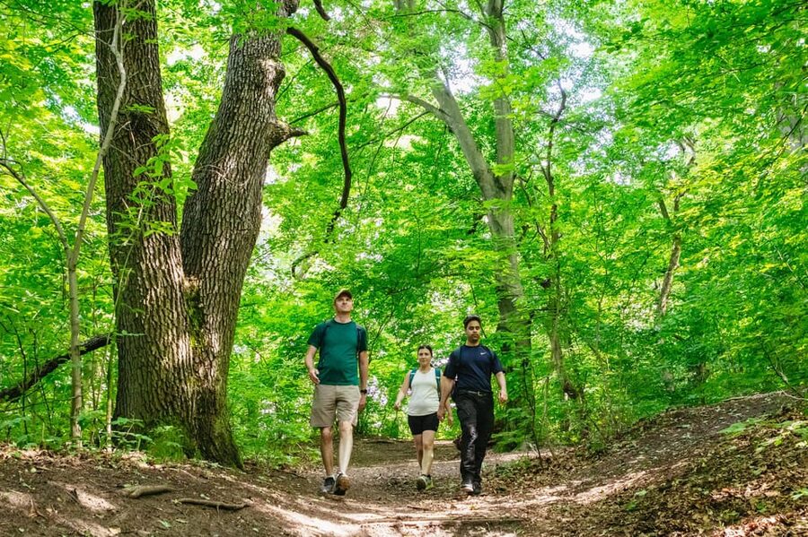 Budapest: Buda Hills Guided Hiking Tour with Optional Lunch - Normafa’s wooded paths and the first city views