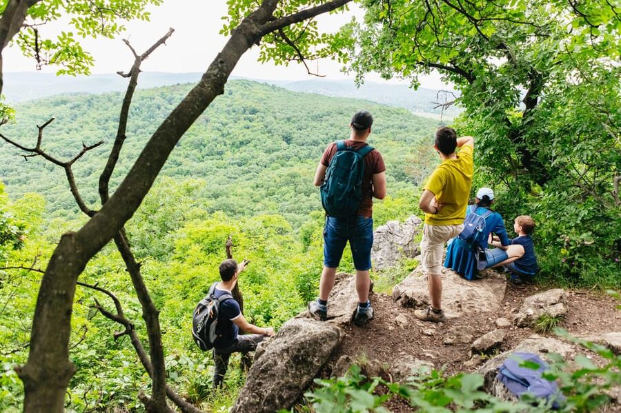Budapest: Buda Hills Guided Hiking Tour with Optional Lunch - From central Budapest to the Normafa trails
