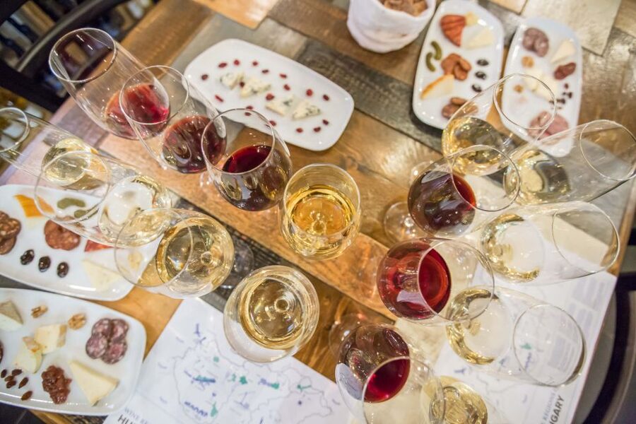 Budapest: Essentials of Hungarian Wine Tasting Class - What the sommelier adds to the evening