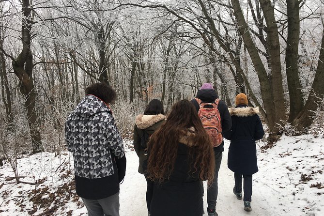 Budapest Hike - Hiking into the Buda mountains