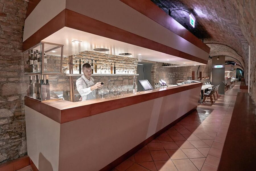 Budapest: Hungarian Gastro Cellar and Assisted Tastings - Who should book this tasting?