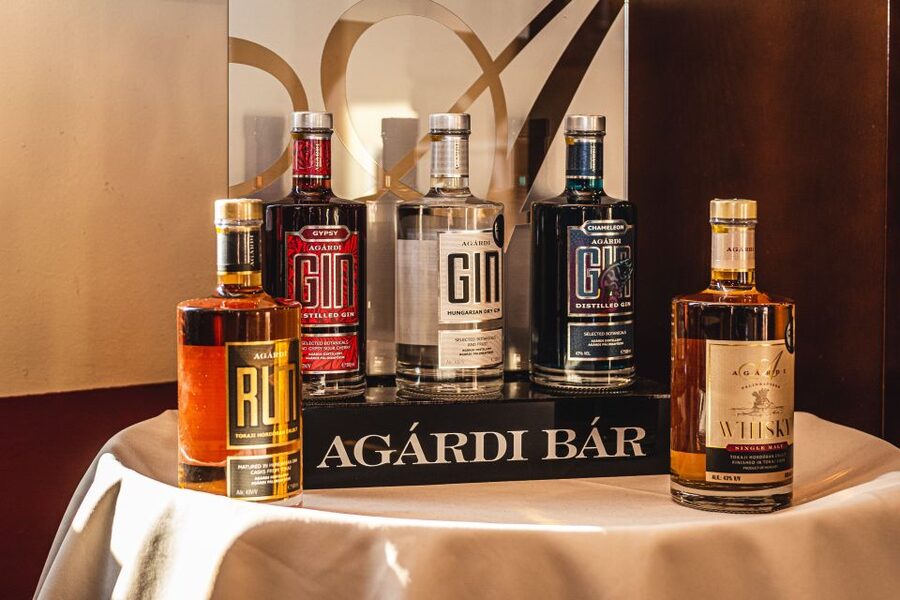 Budapest: Hungarian Whisky, Gin, and Pálinka Tasting - Meeting at Deák Ferenc Tér