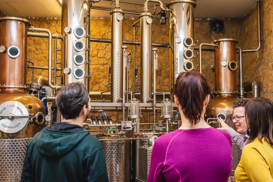 Budapest: Hungarian Whisky, Gin, and Pálinka Tasting - Tasting Six Pálinkas Side by Side