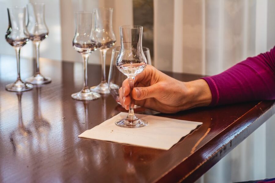 Budapest: Hungarian Whisky, Gin, and Pálinka Tasting - A Guide Who Adds Budapest and Tokaj Tips