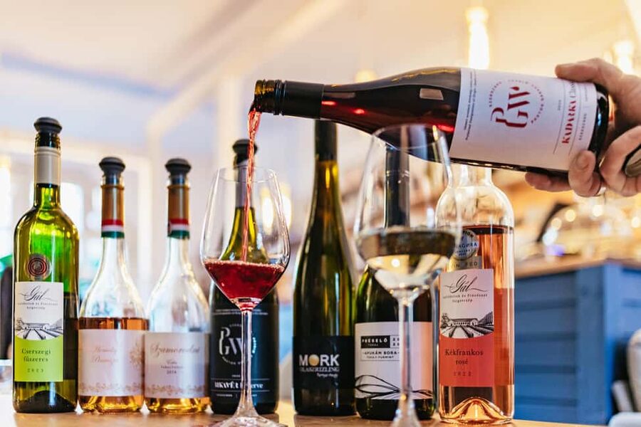 Budapest: Hungarian Wine Tasting with 7 Wines and Tapas - The two-hour flow, from first pour to final map