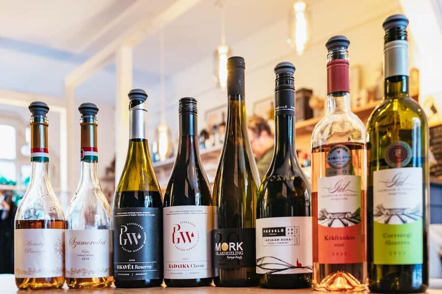 Budapest: Hungarian Wine Tasting with 7 Wines and Tapas - Who should book this Budapest tasting?