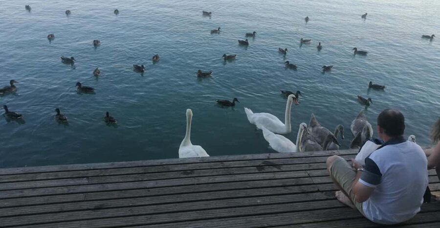 Budapest: Lake Balaton & Herend Porcelain Private Day Tour - Lake Balaton: Hungary’s broad inland escape