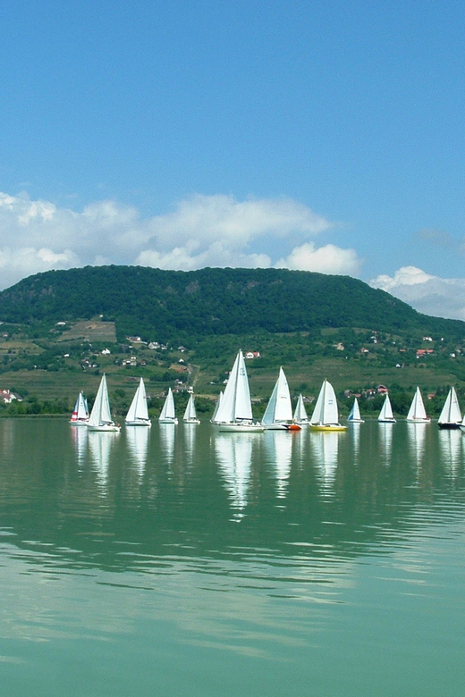 Budapest: Lake Balaton & Herend Porcelain Private Day Tour - Guide quality and the private-tour question