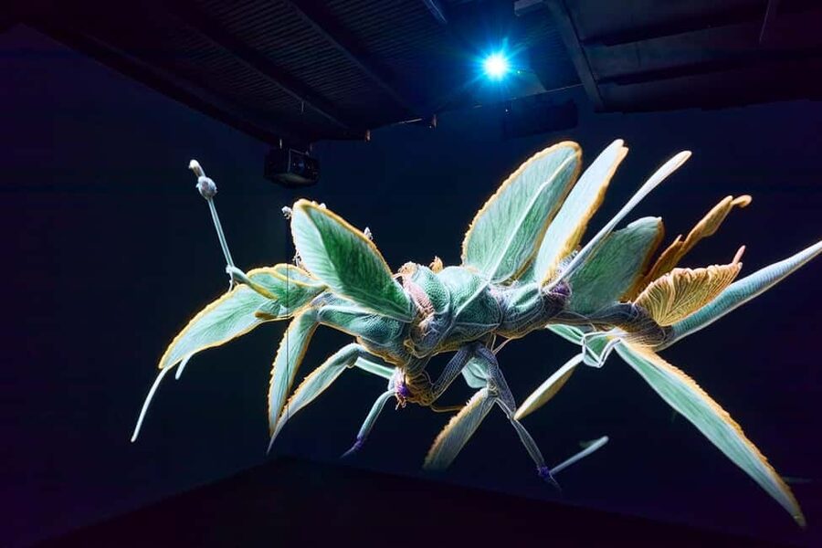 Budapest: Light Art Museum - Immersive New Media Experience - How Interactive Is the Museum?