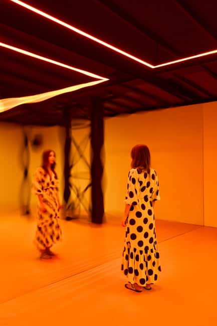 Budapest: Light Art Museum - Immersive New Media Experience - Who Will Enjoy the Light Art Museum Most?