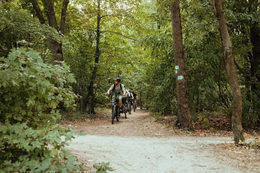 Budapest Peaks: Off-Road eBike Tour - Hármashatárhegy brings the first real test