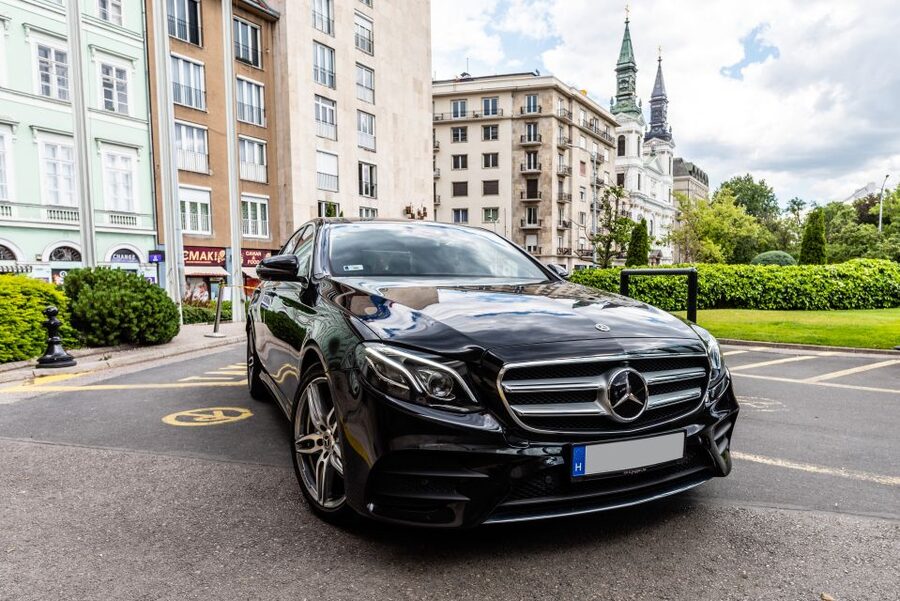 Budapest: Private Luxury Sightseeing Tour - City Park, Heroes Square, and Széchenyi Bath