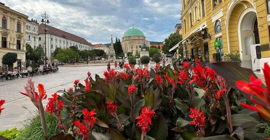 Budapest: Private Walking Tour with a Local Guide - Parliament and the Danube riverfront