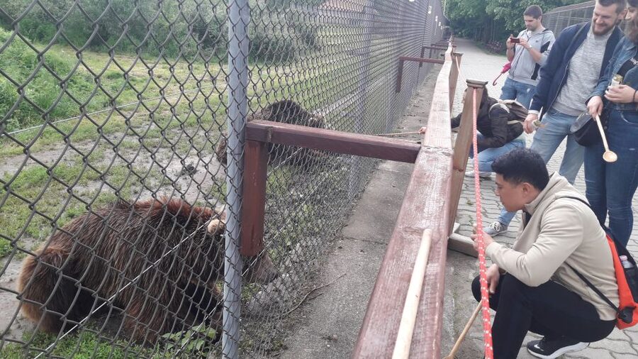 Budapest: Transport & Guided Tour of Bear and Wolf Sanctuary - Why this bear sanctuary is more than a quick zoo stop