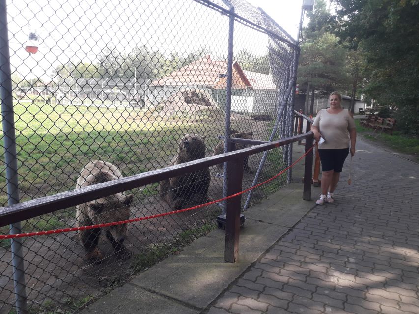 Budapest: Transport & Guided Tour of Bear and Wolf Sanctuary - Wolves and the wider group of rescued animals