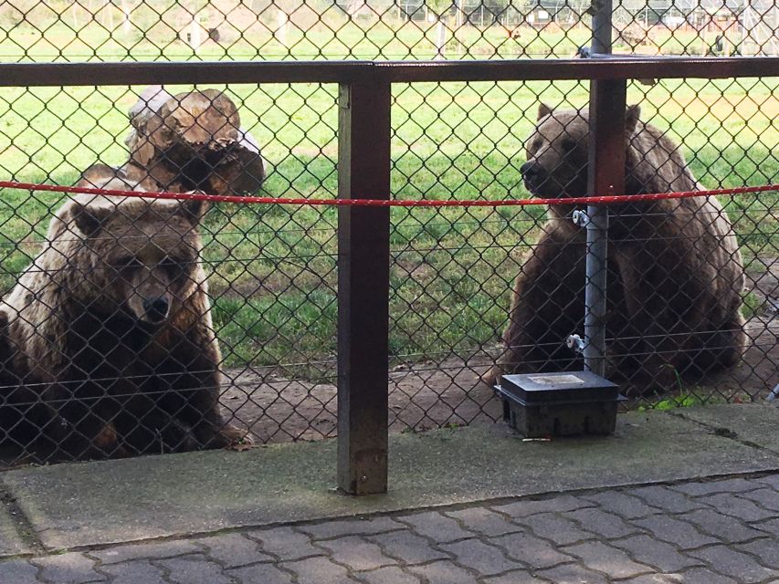Budapest: Transport & Guided Tour of Bear and Wolf Sanctuary - Is $93 a fair price for four hours?