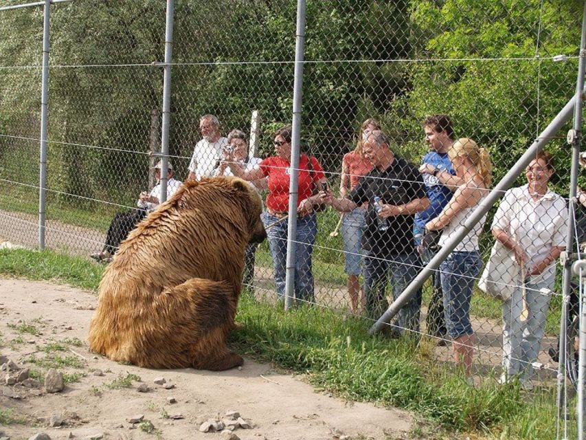 Budapest: Transport & Guided Tour of Bear and Wolf Sanctuary - The 50-minute drive through rural Hungary