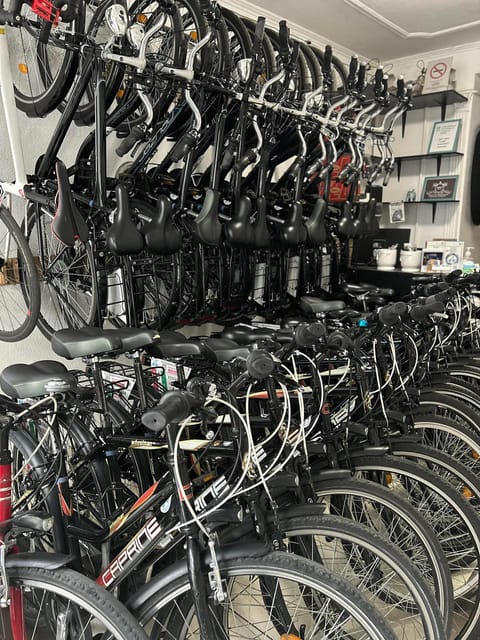 Choose a bicycle and make your own tour in Budapest-24 hrs - What comes with the $21 rental