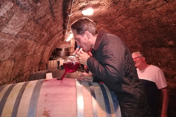 Countryside Half-day Gastro-Wine Tour from Budapest Meal & pickup - Hungarian food is more than an extra snack