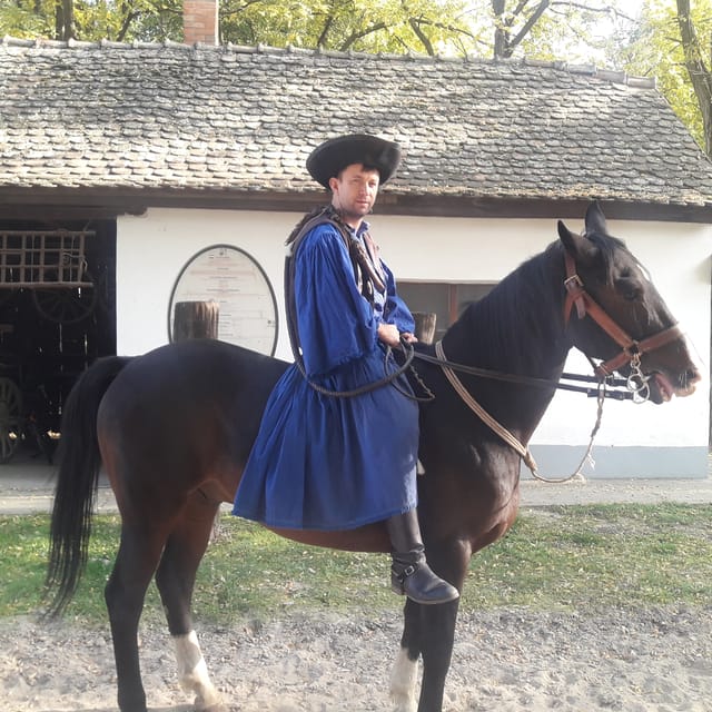 Countryside ranch, horse show & lunch - A 15-minute carriage ride around the ranch