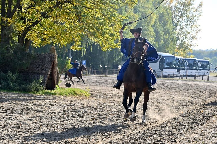 Countryside ranch, horse show & lunch - What the $127 price includes