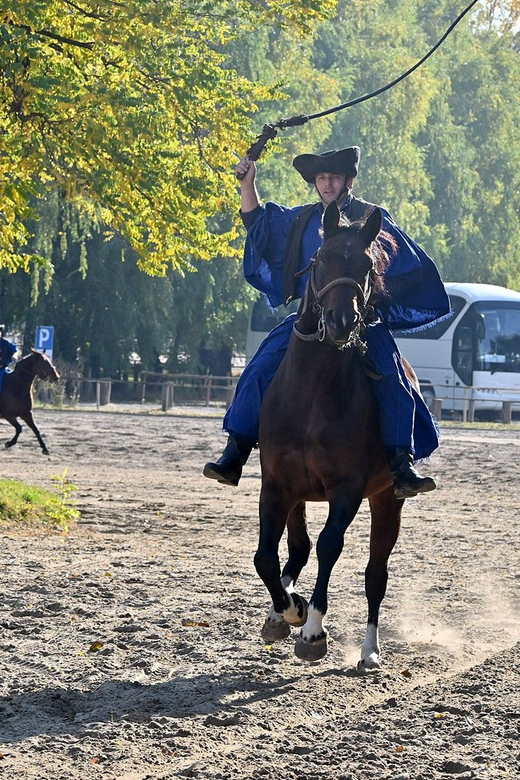 Countryside ranch, horse show & lunch - Who will enjoy this ranch visit most