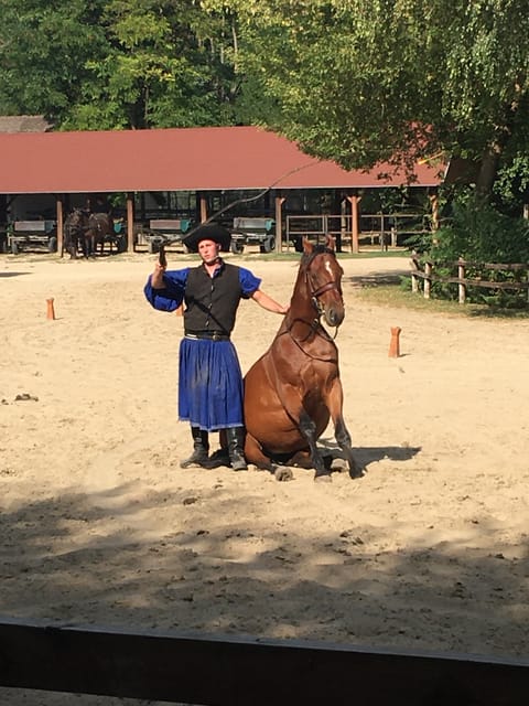 Countryside ranch, horse show & lunch - Practical timing, clothing, and planning