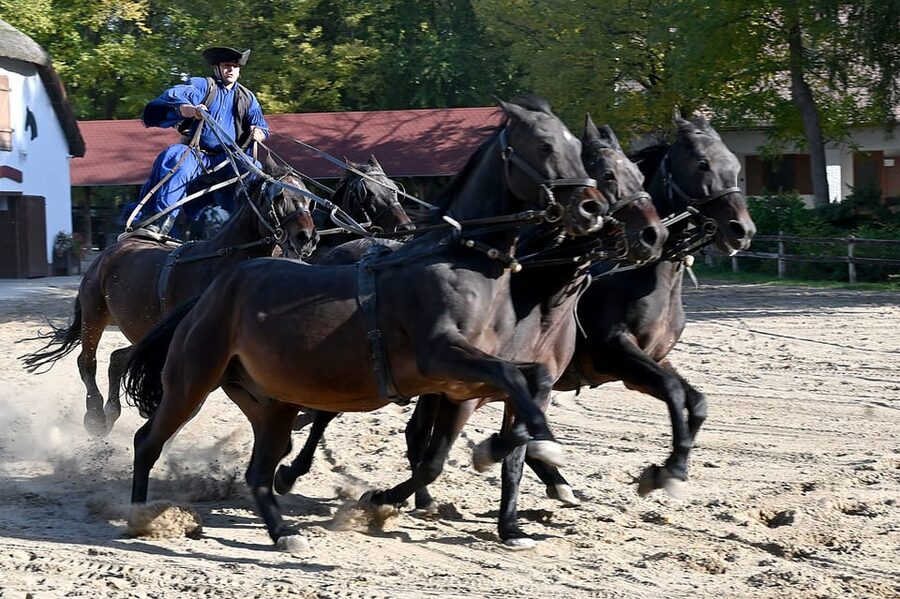 Countryside ranch, horse show & lunch - Meeting the Hungarian cowboys at the horse show