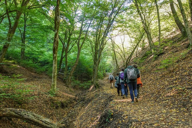 Danube Bend Hiking and Kayaking - What the $166.80 price includes