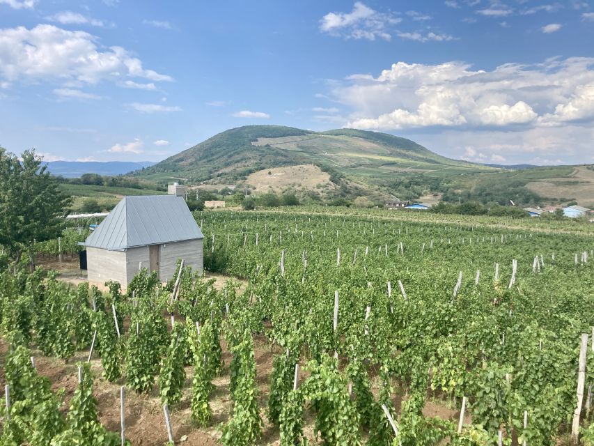 Eger: Countryside, Culture, and Wine Private Tour - Walking the fortress where Eger held the line