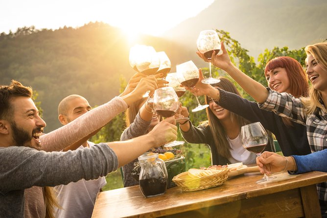 Eger Private Full-Day Wine Tasting Tour and Sightseeing from Budapest - Eger Castle and the view over town