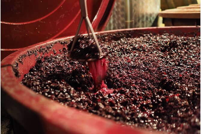 Etyek Private Half-Day Wine Tasting Tour from Budapest - Food, Timing, and the Half-Day Pace