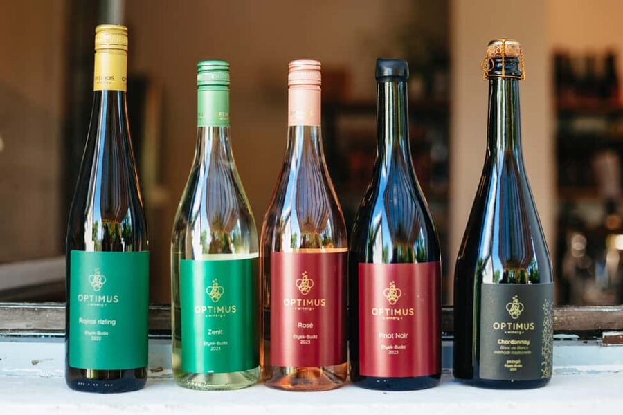 From Budapest: Etyek Wine Tasting Tour with 3-Course Meal - Who will enjoy this Etyek wine tour?