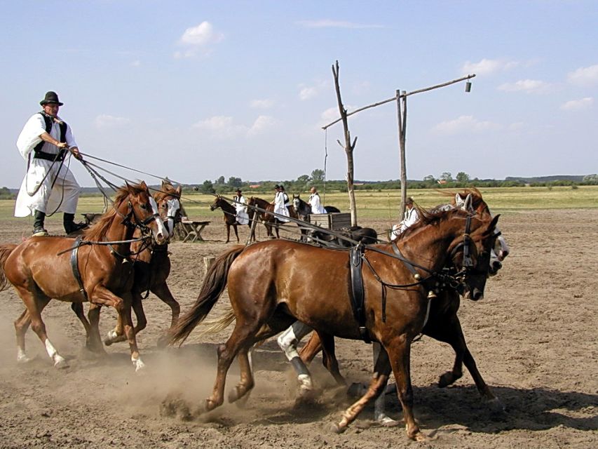 From Budapest: Full-Day Puszta Tour with Lunch and Show - Who should book this day trip?