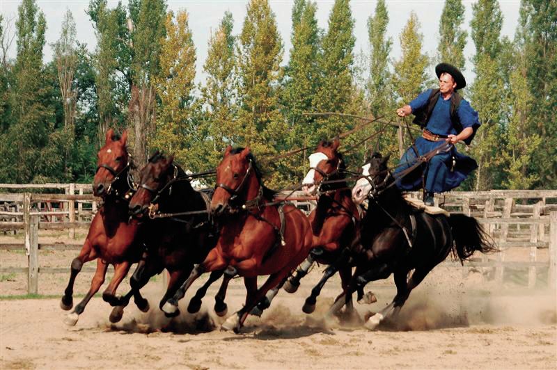 From Budapest: Full-Day Puszta Tour with Lunch and Show - Lajosmizse and the pálinka welcome