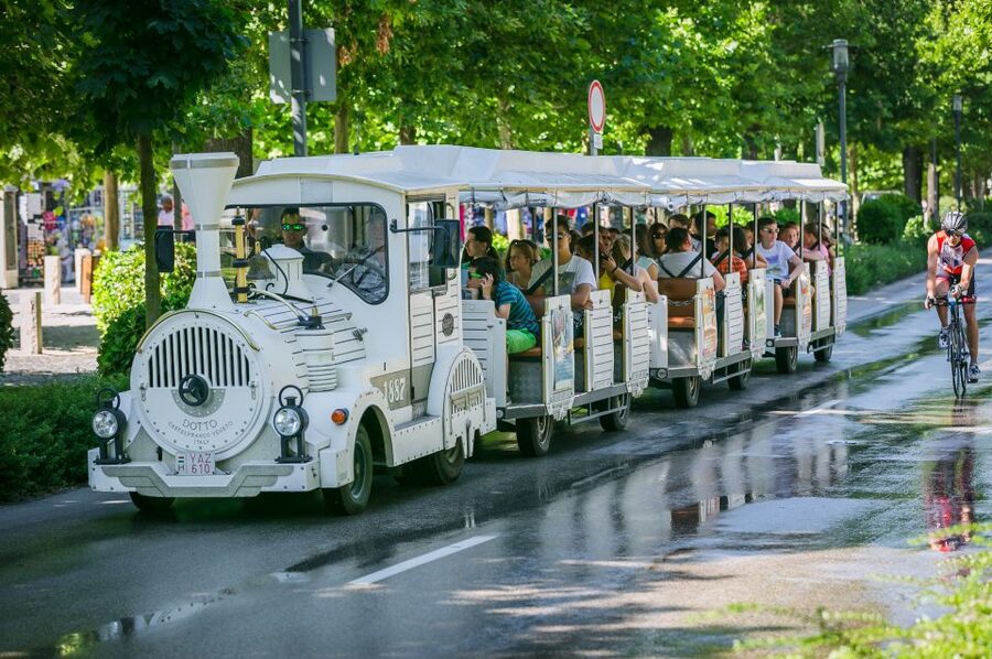 From Budapest: Lake Balaton Day Tour - Should you book it?