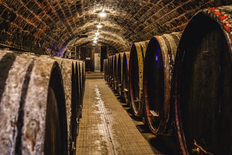 From Budapest: Mátra Hills Wine Tour - Second winery: the tour’s special meeting