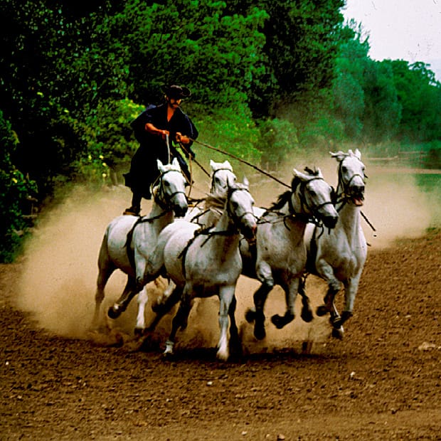 From Budapest: Puszta Horse Show and Countryside Visit - Lajosmizse and the welcome at the farm