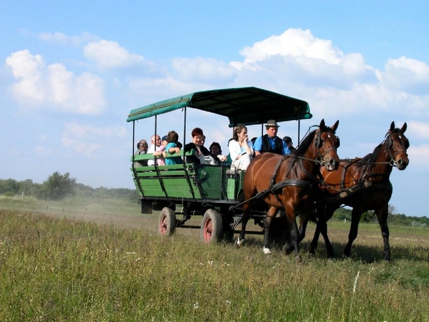 From Budapest: Puszta Horse Show and Countryside Visit - Is $133 a fair price?