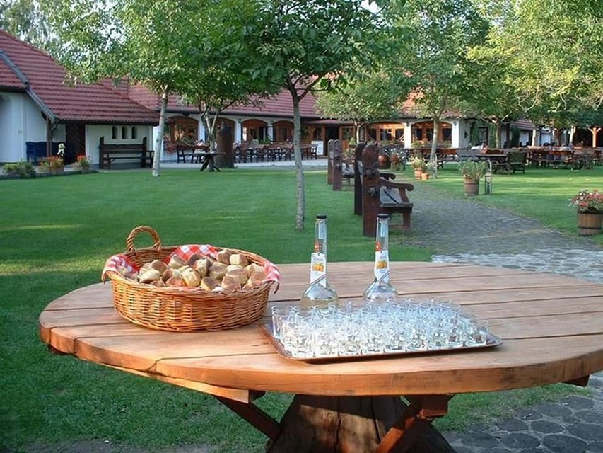From Budapest: Puszta Horse Show and Countryside Visit - Who will enjoy this day most?