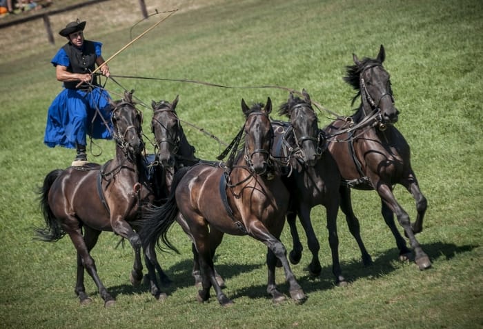 From Budapest: Puszta Horse Show and Countryside Visit - Kecskemét gives the day a town, not just a farm