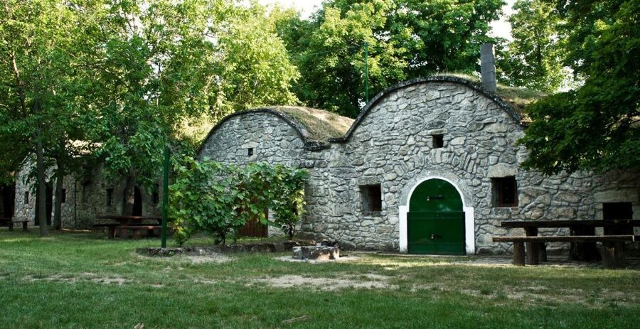 From Budpaest: Páty Wine Village Tour with Tastings - Timing, transport, and the small details that matter