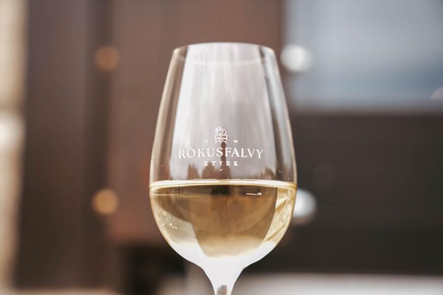 Guided wine tasting at Rókusfalvy Estate - Arriving at Etyek’s vineyard setting