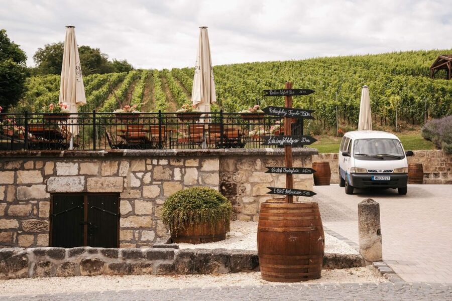 Guided wine tasting at Rókusfalvy Estate - A peek into the barrel and champagne cellars