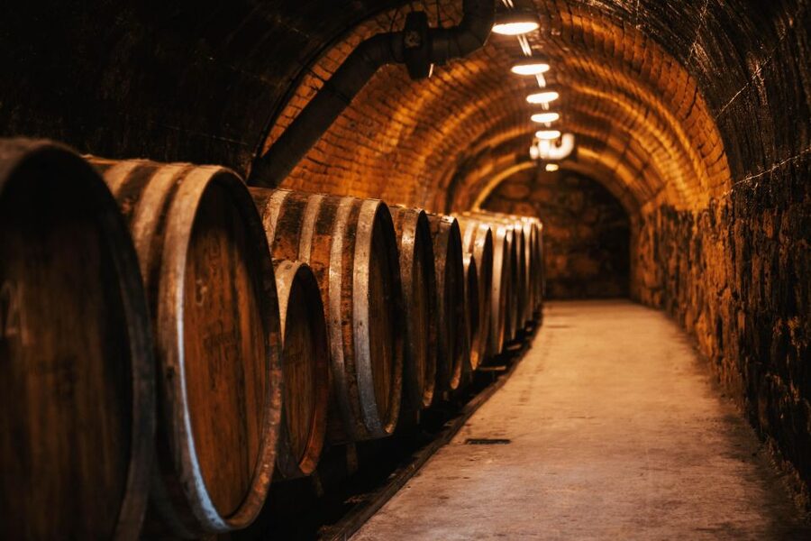 Guided wine tasting at Rókusfalvy Estate - The vineyard walk and the view